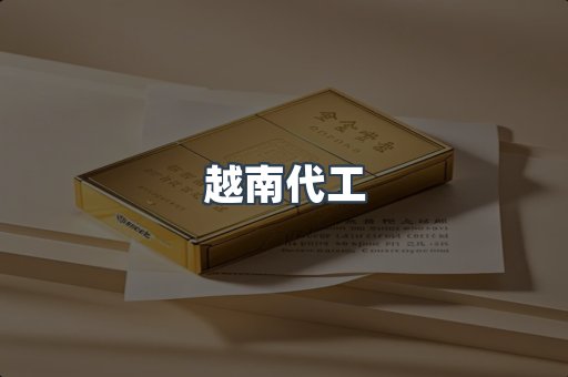 越南代工